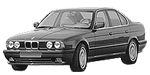 BMW E34 P02BA Fault Code